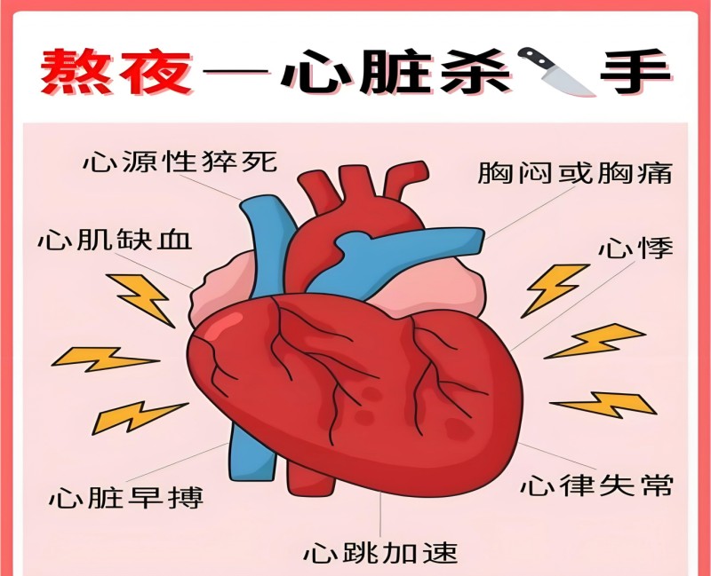 1758072446893029554.jpg conew_图片4.jpg
